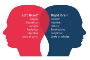 Picture of two brains